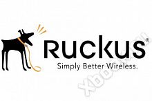 Ruckus Wireless 909-005K-SG00